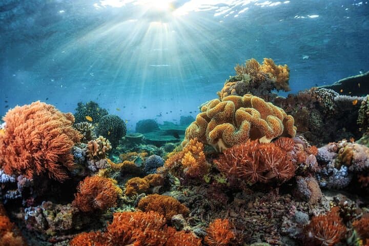 Experience a Private Sunset Cruise Along Kona’s Coastline photo 5