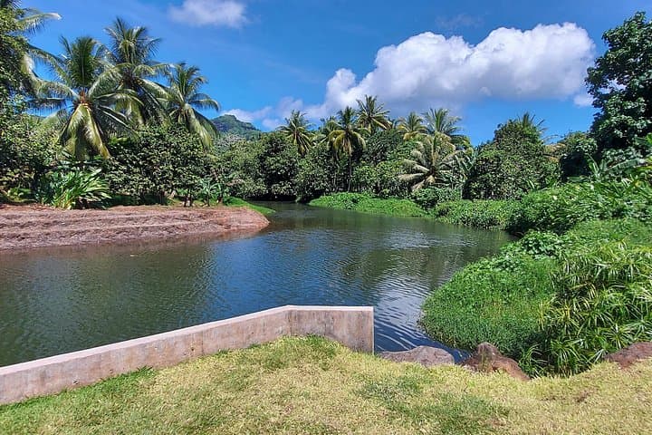 Half-Day Treasures of Raiatea: Faaroa River & Pearl Farm Boat Tour photo 2