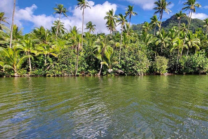 Half-Day Treasures of Raiatea: Faaroa River & Pearl Farm Boat Tour photo 3