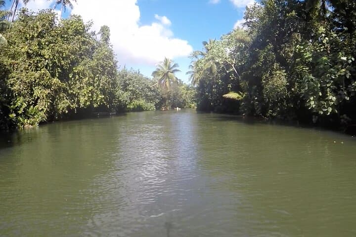 Half-Day Treasures of Raiatea: Faaroa River & Pearl Farm Boat Tour photo 4