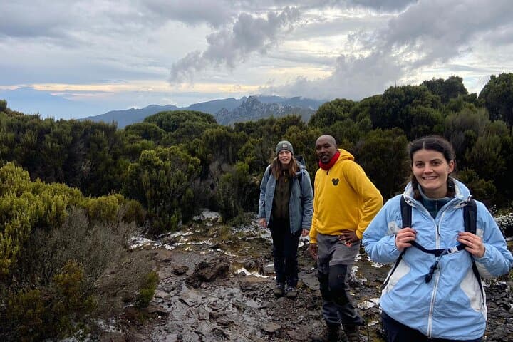 Northern Circuit Kilimanjaro: 9-Day Private Expedition from Moshi photo 6