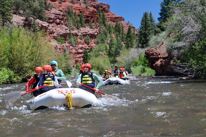 San Miguel River Morning Rafting Near Telluride: A Half-Day Whitewater Guide
