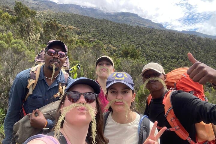 Northern Circuit Kilimanjaro: 10-Day Expedition to Uhuru Peak via the Long Route photo 6