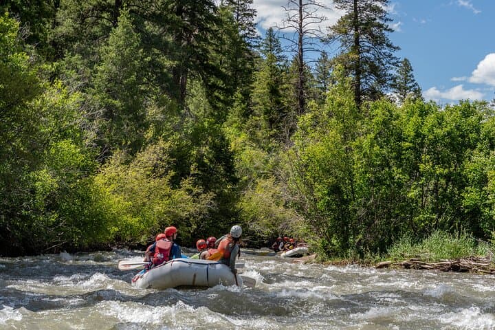 San Miguel River Morning Rafting Near Telluride: A Half-Day Whitewater Guide photo 3