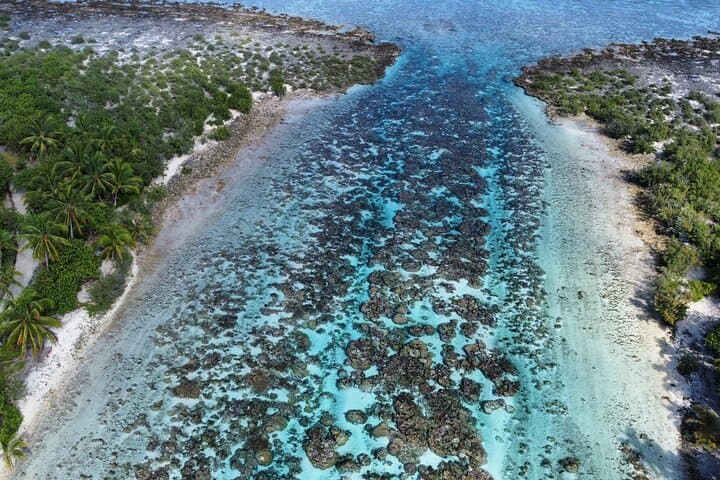 Electric Paddleboard Snorkel at Tahaa Coral Garden — Eco Lagoon Excursion photo 6