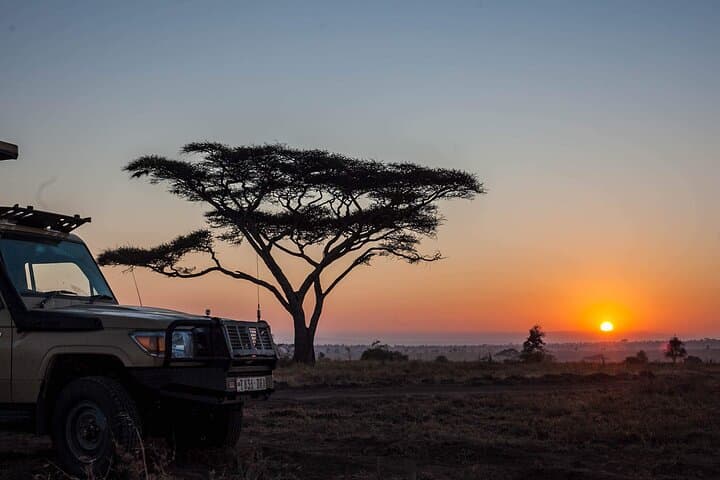 9-Day Budget Camping Safari in Tanzania: Serengeti, Ngorongoro & Lake Manyara photo 4