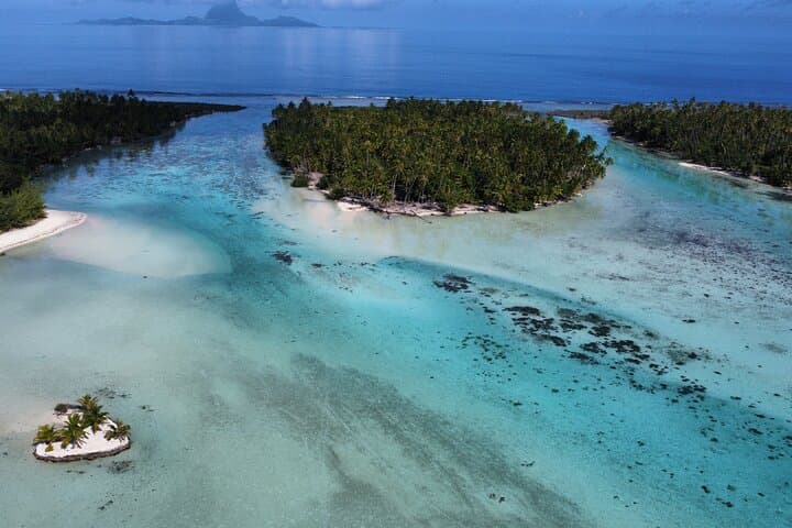 Electric Paddleboard Snorkel at Tahaa Coral Garden — Eco Lagoon Excursion photo 3