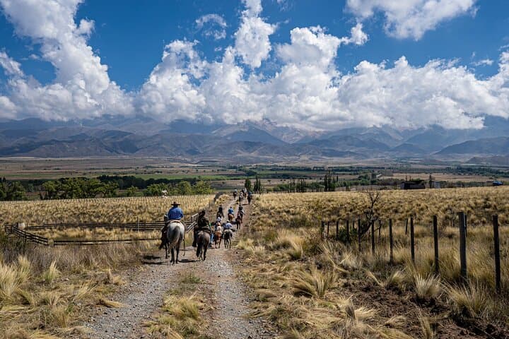 Horseback Riding, Barbecue & Wine at Tupungato in the Uco Valley photo 6