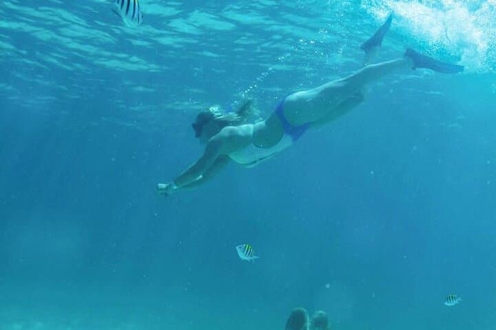 Luxury Catamaran to Isla Mujeres: Snorkel, Beach Club & Open Bar from Cancún photo 4