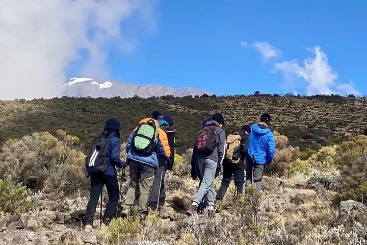 7-Day Machame Route: Summit Mount Kilimanjaro via the Machame Circuit photo 2
