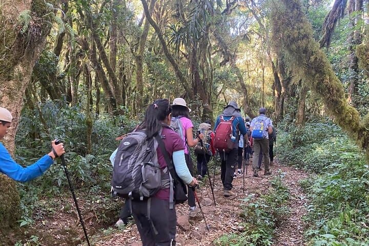 7-Day Machame Route: Summit Mount Kilimanjaro via the Machame Circuit photo 3