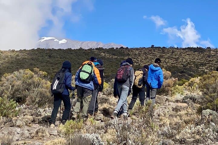 5-Day Kilimanjaro Climb via Marangu Route with Huts — Summit Uhuru Peak photo 4