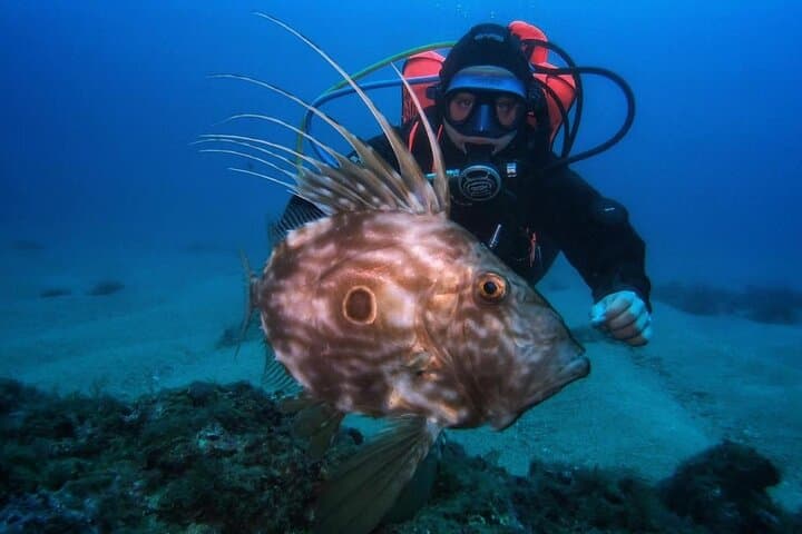 PADI Scuba Diver Course in Tossa de Mar — One-Day Costa Brava Certification photo 3