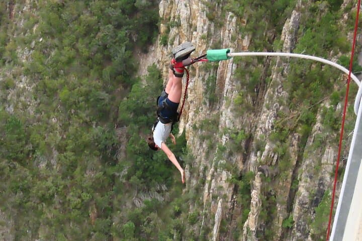 Garden Route Extreme: Shark Cage, Bungy, Skydiving & Big-5 Safari photo 6