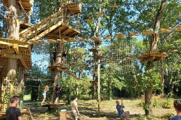 Guided treetop adventure course in Nantes: ziplines, climbing and aerial trails