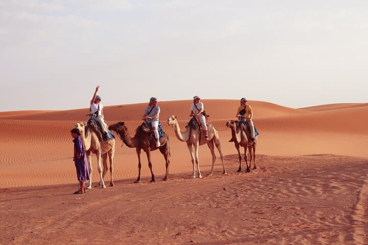 Marrakech to Merzouga: 3-Day Sahara Camel Trek, Dunes & Desert Camp photo 5