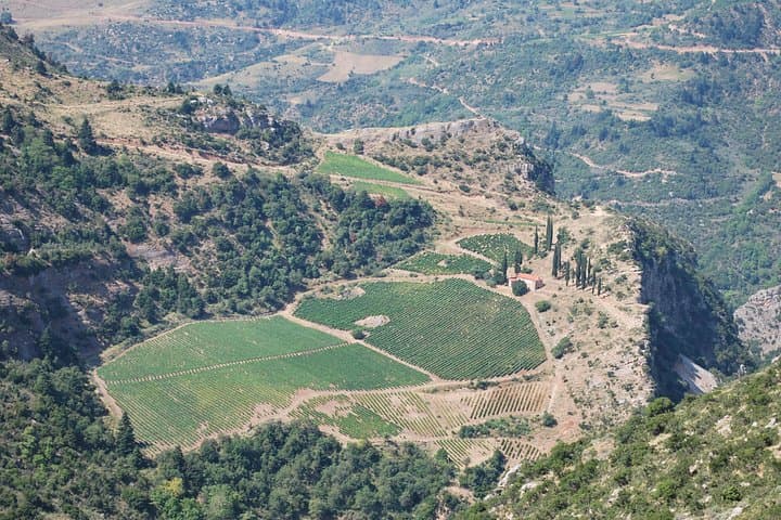Vouraikos Gorge Cog-Rail & Wine Crossing: Achaia’s One-Day Cultural Journey photo 2