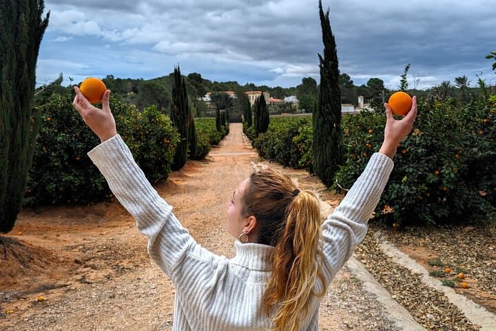 Orange Harvest Experience in La Ribera: Valencia Citrus Farm Tour