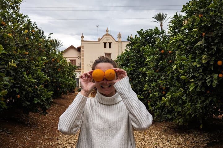 Orange Harvest Experience in La Ribera: Valencia Citrus Farm Tour photo 3
