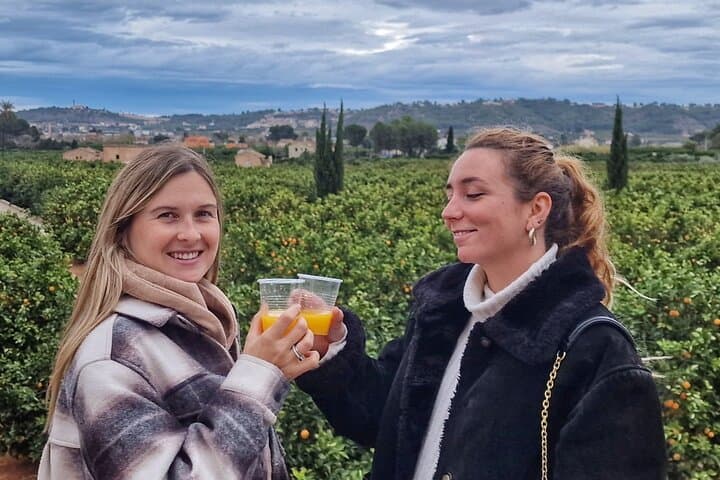 Orange Harvest Experience in La Ribera: Valencia Citrus Farm Tour photo 6