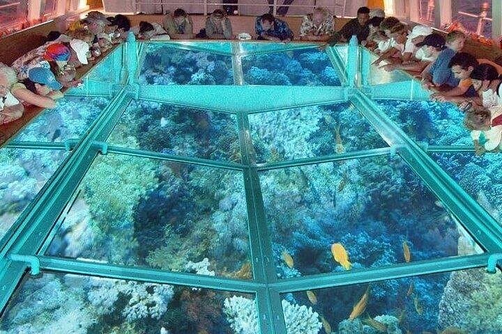Glass-Bottom Boat Tour in Sharm El Sheikh — Red Sea Coral Viewing photo 1