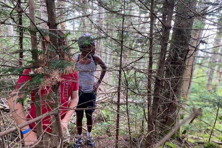 green-mountain-adventure-challenge-vermont-hike-puzzle-quest photo 2