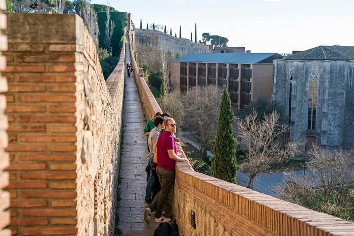 Day Trip from Barcelona: Dalí Museum, Medieval Besalú & Girona in One Day photo 5