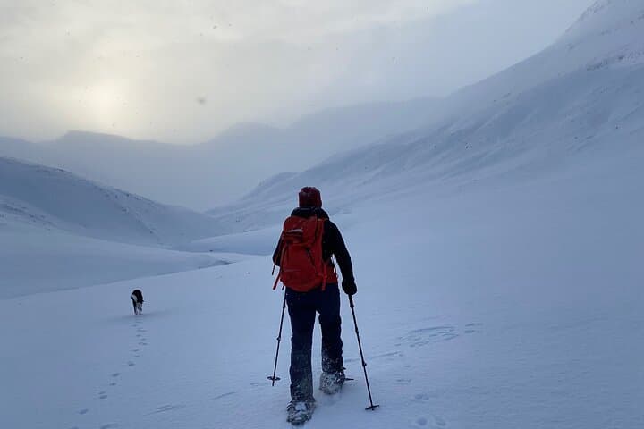 Snowshoeing and Storytelling in Héðinsfjörður — Two-Hour Winter Walk from Siglufjörður