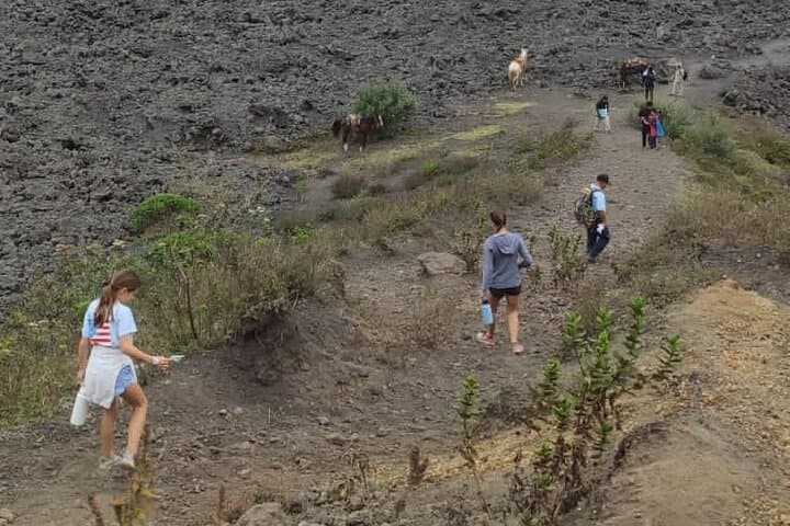 Pacaya Volcano Day Hike from Guatemala City: Lava Fields and Volcanic Views photo 5