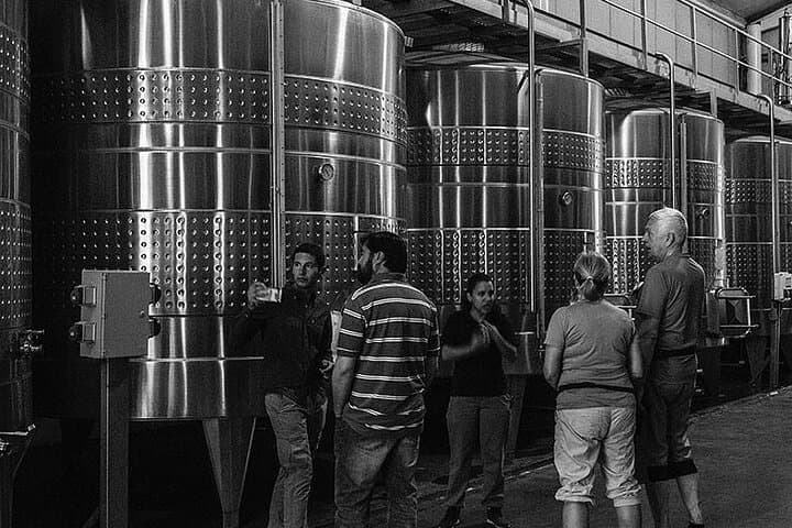 Vineyard Pedal & Tasting at Bodega Santa Julia: Bike, Lunch, and Mendoza Wines photo 5