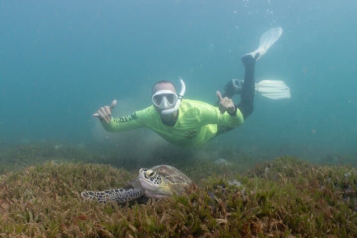 Escambrón Snorkeling Tour: Swim with Turtles & Tropical Fish in San Juan photo 2
