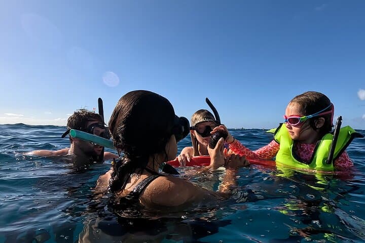 Private Snorkeling Cruise to Turtle Canyon in Waikiki