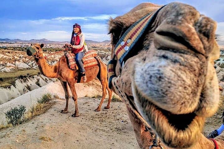 Agadir Camel Ride and Sunset Barbecue in the Dunes photo 6