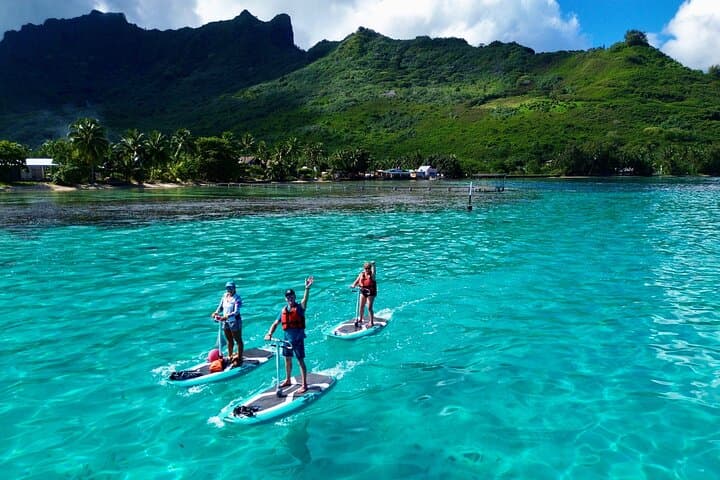 Moorea E-Board Private Lagoon Excursion with Snorkeling photo 5