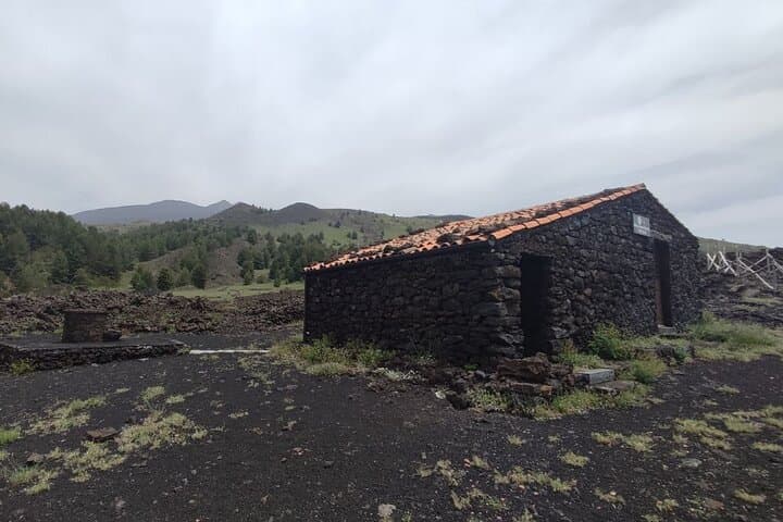 Private Etna Tour with Wine Tasting: Silvestri Craters & Gambino Winery photo 2