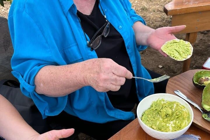 Antigua Organic Farm Tour — Coffee, Avocados & Honey Experience photo 3