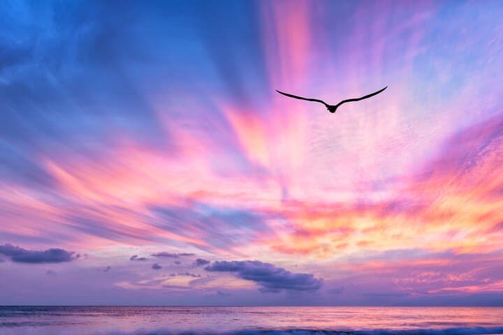 Waikiki Sunset Cruise: Semi-Private Evening Sail with Dolphin and Turtle Sightings photo 6
