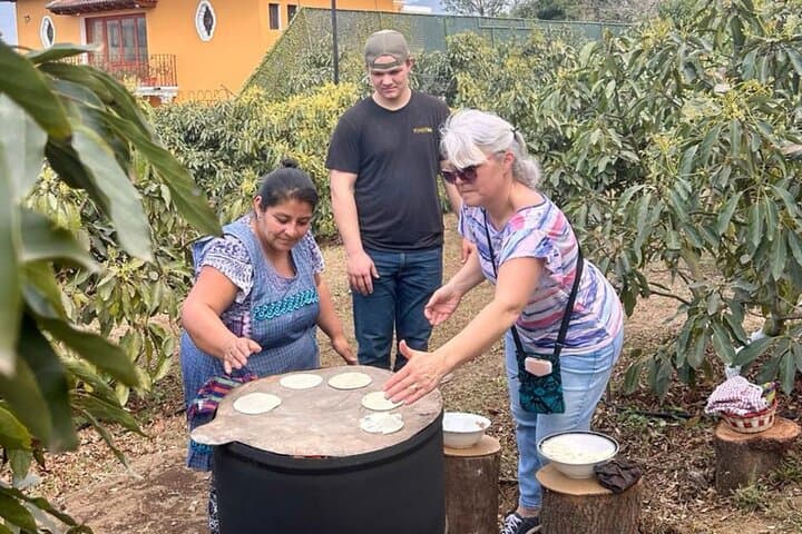 Antigua Organic Farm Tour — Coffee, Avocados & Honey Experience photo 2