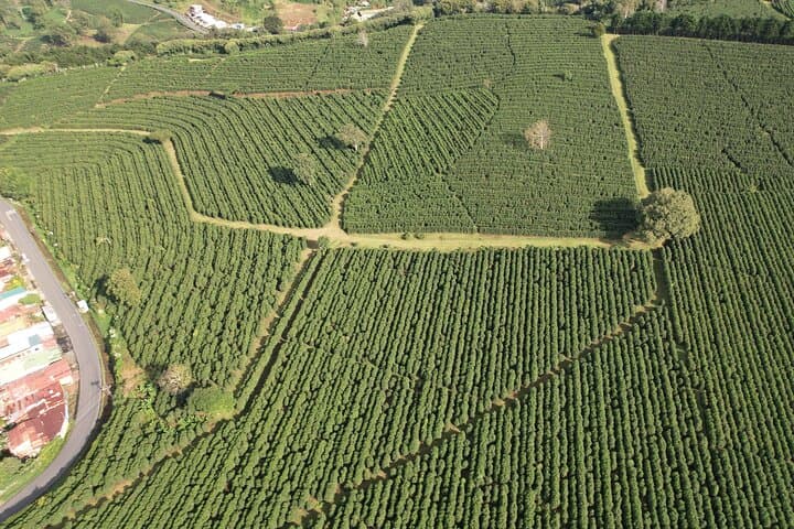 Poás Volcano and Coffee Tour from San José — Crater Views and Farm-to-Cup Experience photo 4