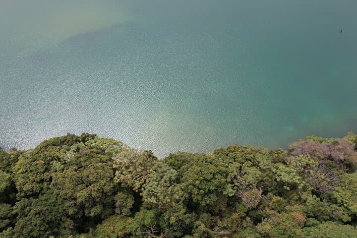 Poás Volcano and Coffee Tour from San José — Crater Views and Farm-to-Cup Experience photo 6