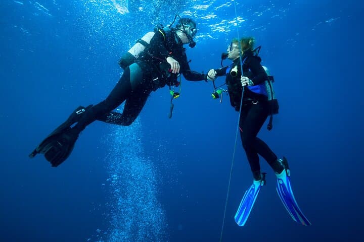 Waikiki Single‑Tank Reef Dive at Turtle Canyon — Certified Divers photo 3
