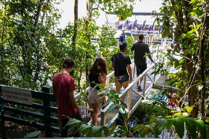Half-Day Daintree River Cruise & Mossman Gorge Walk from Port Douglas photo 3