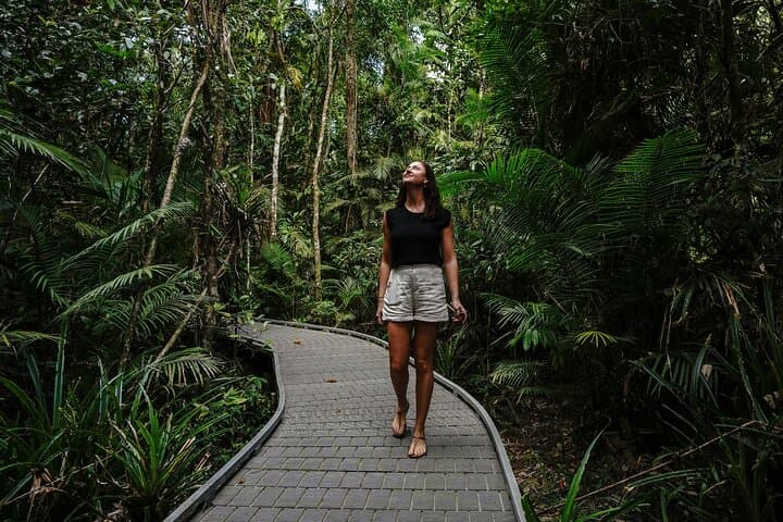 Daintree & Cape Tribulation Full-Day Rainforest and River Cruise from Port Douglas photo 4