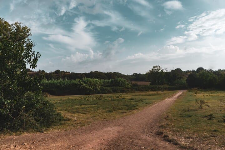 Rome's Caffarella Park Hike: Hidden Urban Nature & Ancient Ruins photo 6