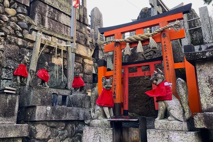 Private Fushimi Red Gates & Secret Bamboo Mountain Trekking Tour — Kyoto Hike to Inari Summit photo 4