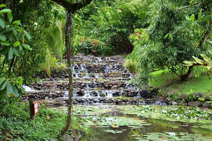 Tahiti Circle Island Afternoon Tour: Museum, Waterfalls & Pointe Venus (5h) photo 4