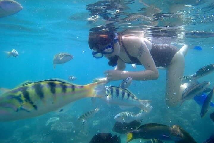 Blue Lagoon & Tanjung Jepun Snorkeling Trip with Lunch — Bali's East Coast Reef Experience photo 5