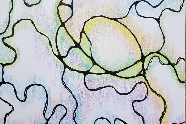 Private Stress-Relief Drawing Class in San Jose — Mindful Art Reset photo 5