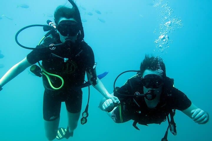 Discover Scuba on Koh Tao: 2 Guided Dives from Koh Samui photo 3