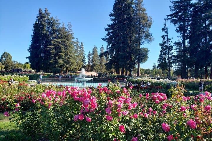 Private Stress-Relief Drawing Class in San Jose — Mindful Art Reset photo 4